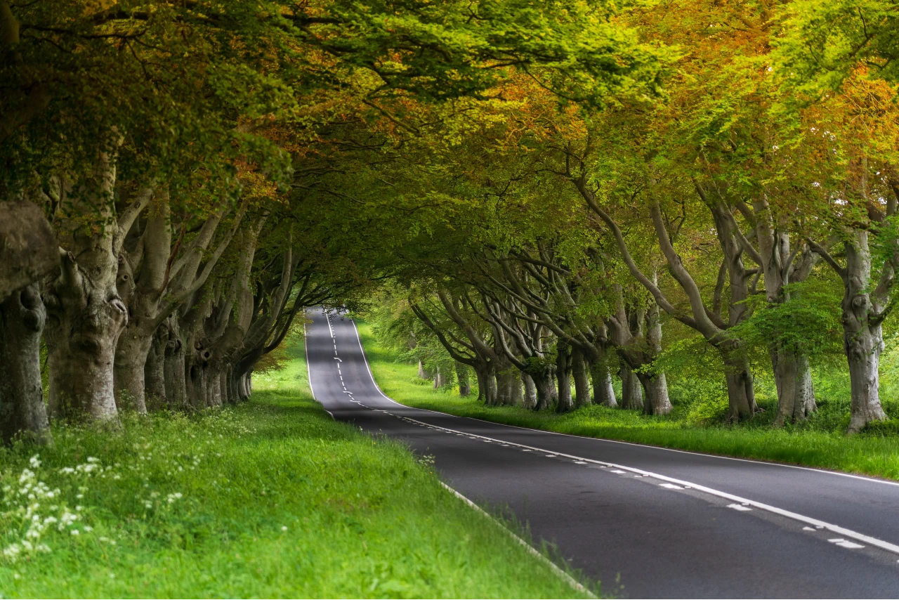 The Road to Zero: everything your business needs to know